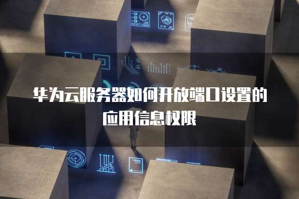 华为云服务器如何开放端口设置的应用信息权限