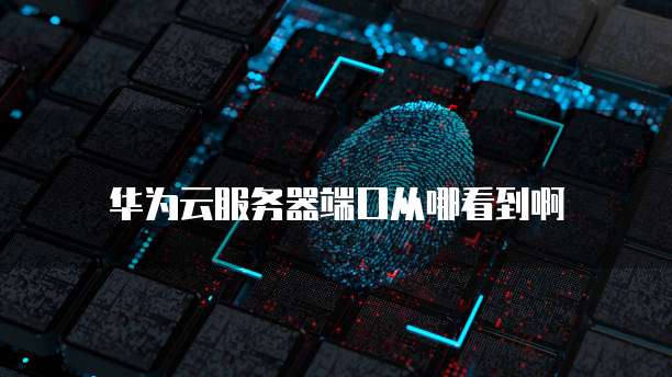 华为云服务器端口从哪看到啊