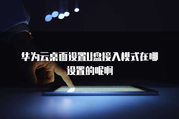 华为云桌面设置U盘接入模式在哪设置的呢啊