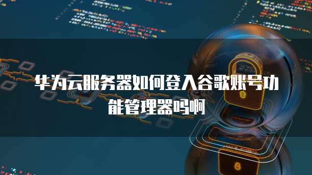 华为云服务器如何登入谷歌账号功能管理器吗啊