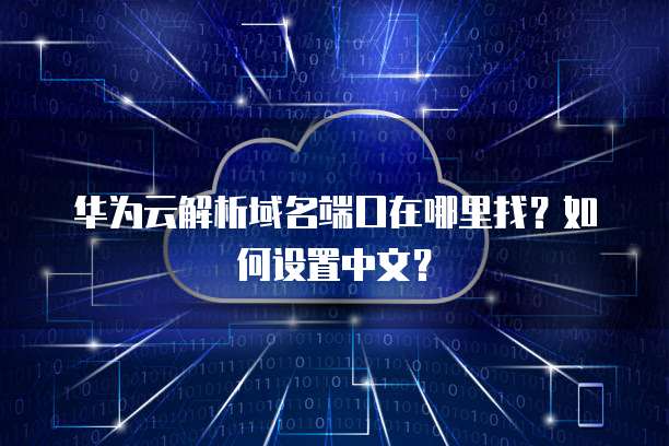 华为云解析域名端口在哪里找?如何设置中文?