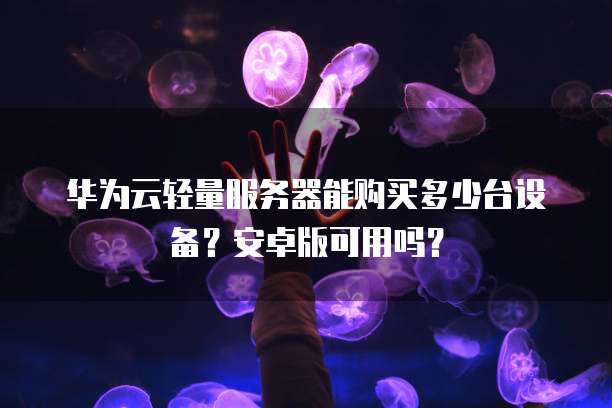 华为云轻量服务器能购买多少台设备?安卓版可用吗?
