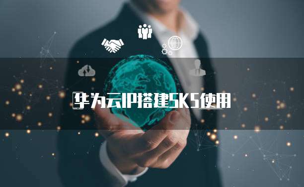 华为云IP搭建SK5使用