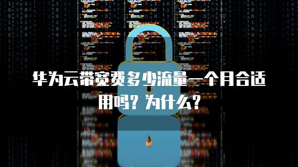 华为云带宽费多少流量一个月合适用吗?为什么?