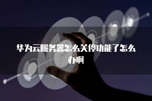 华为云服务器怎么关停功能了怎么办啊