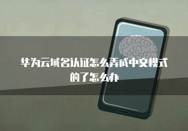 华为云域名认证怎么弄成中文模式的了怎么办