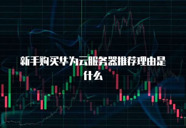 新手购买华为云服务器推荐理由是什么