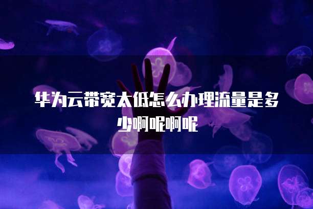 华为云带宽太低怎么办理流量是多少啊呢啊呢