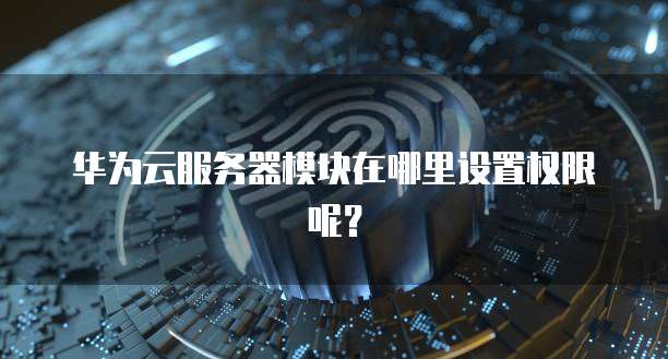 华为云服务器模块在哪里设置权限呢?