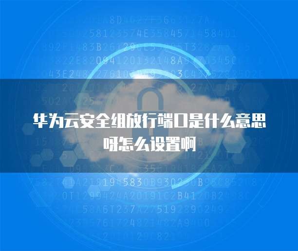 华为云安全组放行端口是什么意思呀怎么设置啊