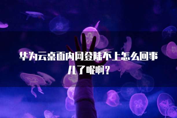 华为云桌面内网登陆不上怎么回事儿了呢啊?