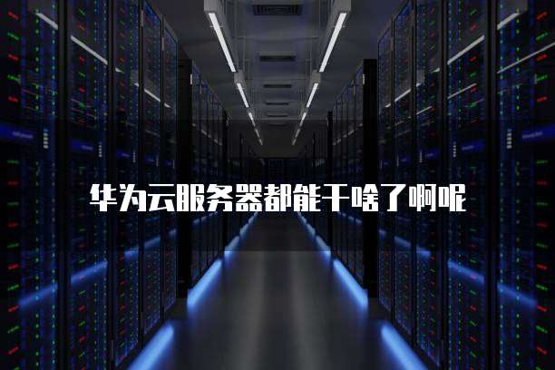 华为云服务器都能干啥了啊呢