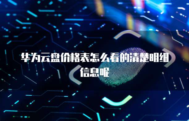 华为云盘价格表怎么看的清楚明细信息呢