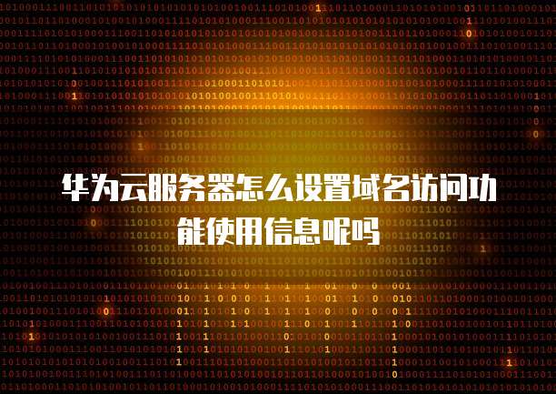 华为云服务器怎么设置域名访问功能使用信息呢吗