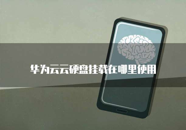 华为云云硬盘挂载在哪里使用