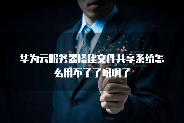 华为云服务器搭建文件共享系统怎么用不了了呀啊了