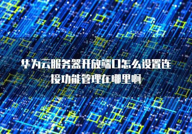 华为云服务器开放端口怎么设置连接功能管理在哪里啊