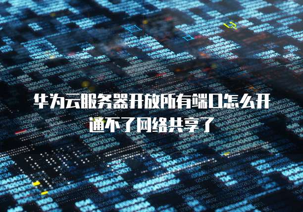 华为云服务器开放所有端口怎么开通不了网络共享了