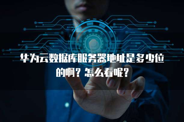 华为云数据库服务器地址是多少位的啊?怎么看呢?