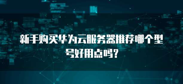 新手购买华为云服务器推荐哪个型号好用点吗?