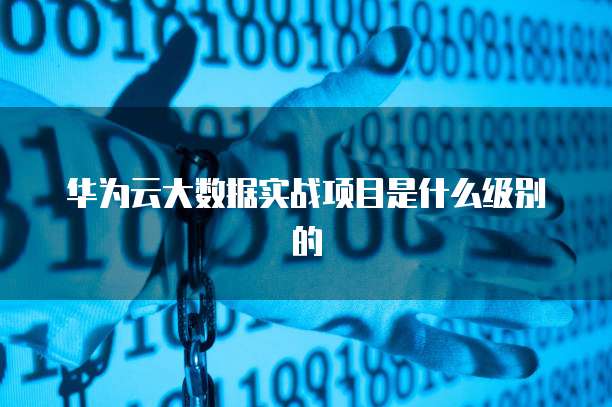 华为云大数据实战项目是什么级别的