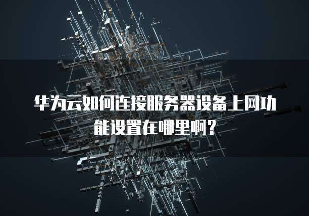 华为云如何连接服务器设备上网功能设置在哪里啊?