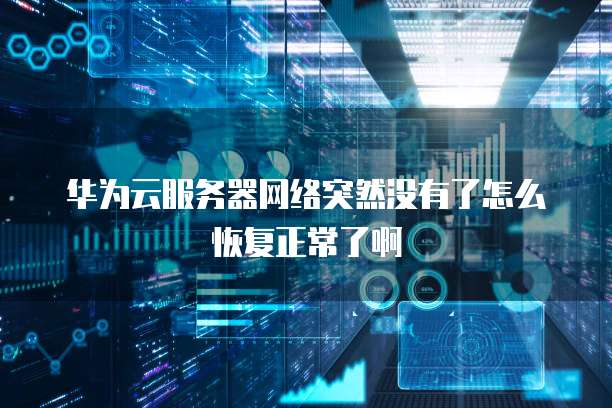 华为云服务器网络突然没有了怎么恢复正常了啊