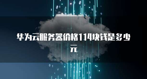 华为云服务器价格114块钱是多少元