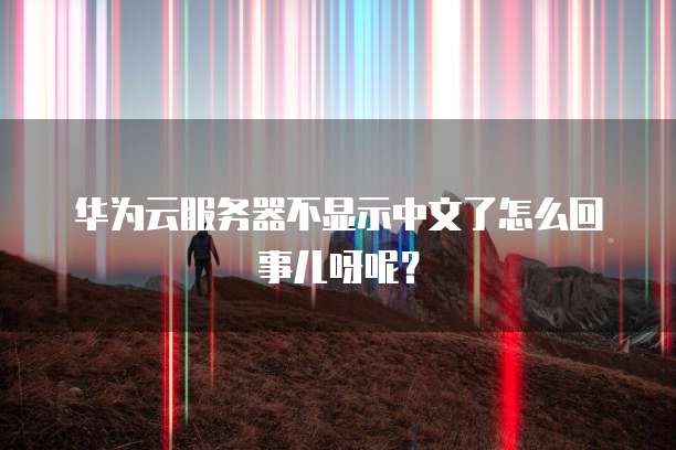 华为云服务器不显示中文了怎么回事儿呀呢？