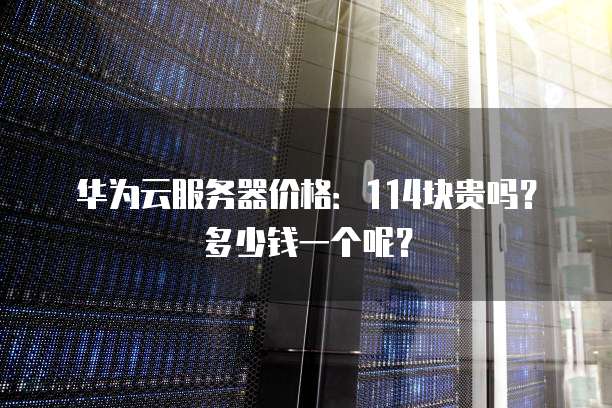华为云服务器价格:114块贵吗?多少钱一个呢?