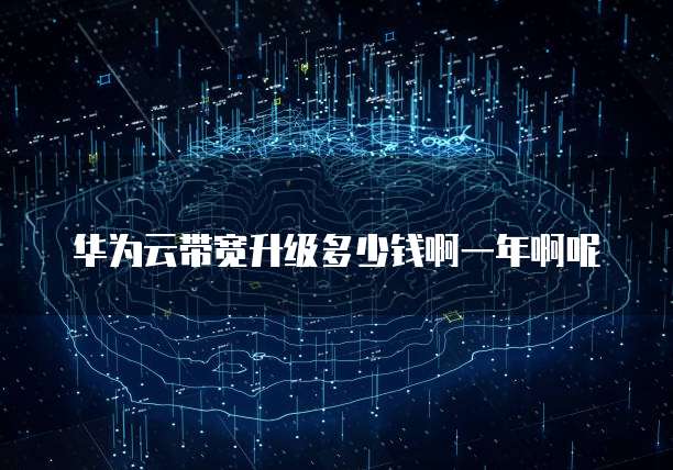 华为云带宽升级多少钱啊一年啊呢