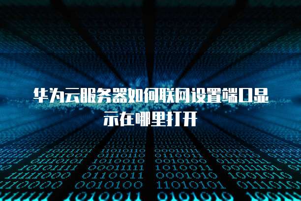 华为云服务器如何联网设置端口显示在哪里打开