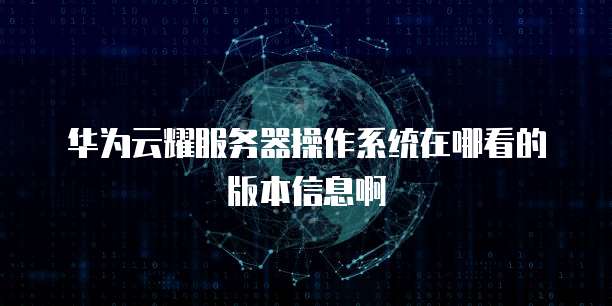 华为云耀服务器操作系统在哪看的版本信息啊