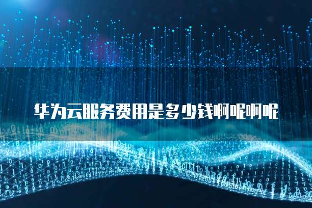 华为云服务费用是多少钱啊呢啊呢