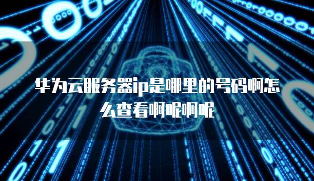 华为云服务器ip是哪里的号码啊怎么查看啊呢啊呢