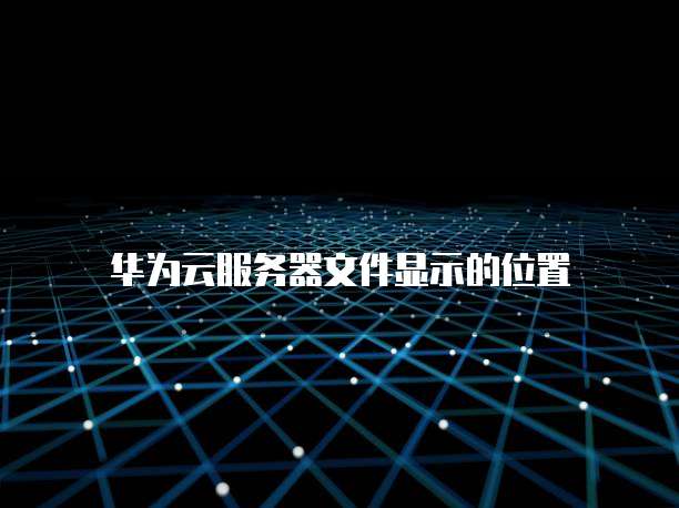 华为云服务器文件显示的位置