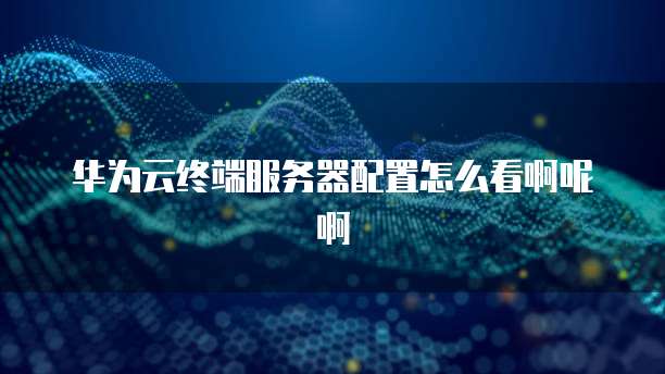 华为云终端服务器配置怎么看啊呢啊