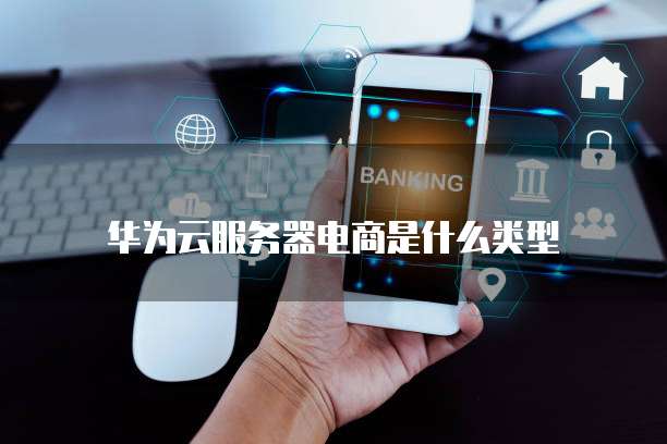 华为云服务器电商是什么类型