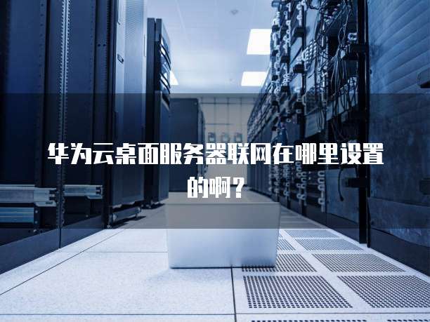 华为云桌面服务器联网在哪里设置的啊?