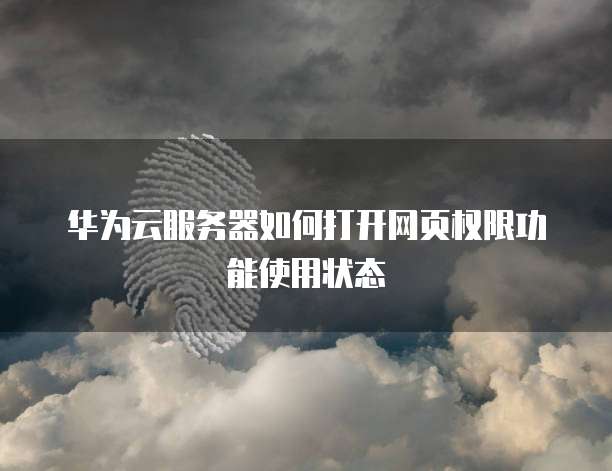 华为云服务器如何打开网页权限功能使用状态