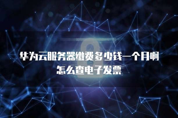华为云服务器缴费多少钱一个月啊怎么查电子发票