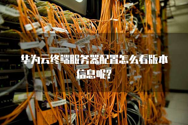 华为云终端服务器配置怎么看版本信息呢?