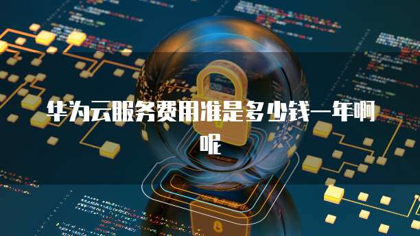 华为云服务费用准是多少钱一年啊呢