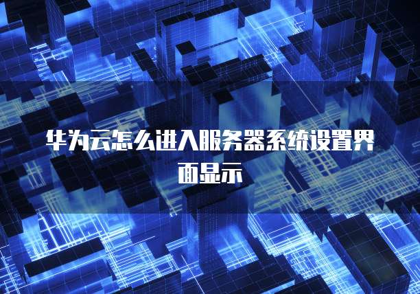 华为云怎么进入服务器系统设置界面显示