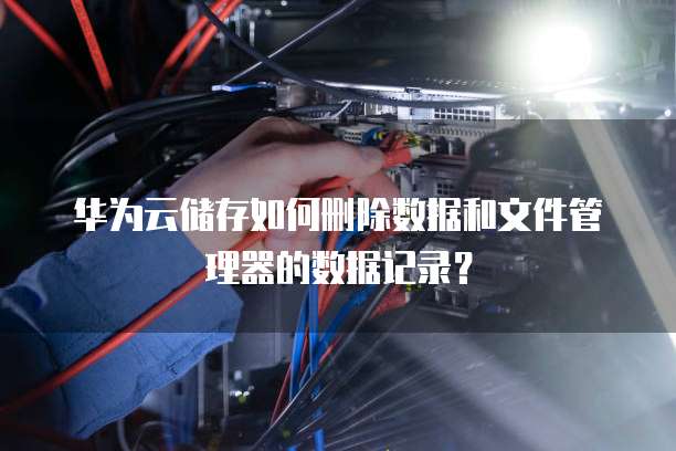 华为云储存如何删除数据和文件管理器的数据记录?