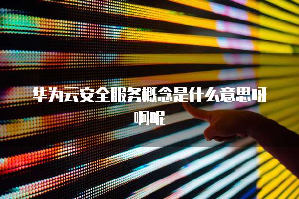 华为云安全服务概念是什么意思呀啊呢