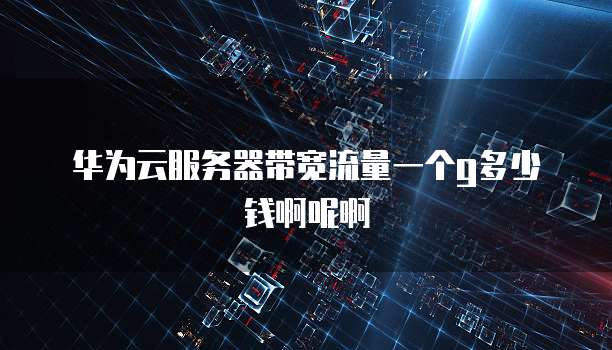 华为云服务器带宽流量一个g多少钱啊呢啊