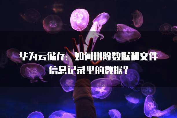 华为云储存：如何删除数据和文件信息记录里的数据？