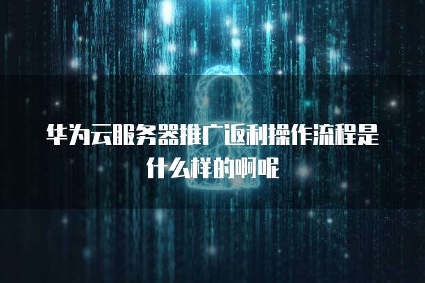 华为云服务器推广返利操作流程是什么样的啊呢