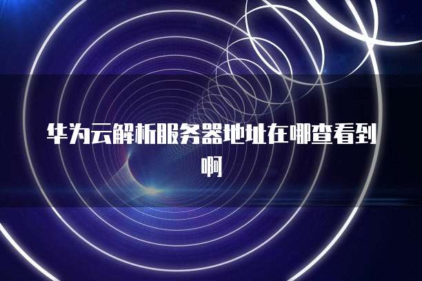 华为云解析服务器地址在哪查看到啊